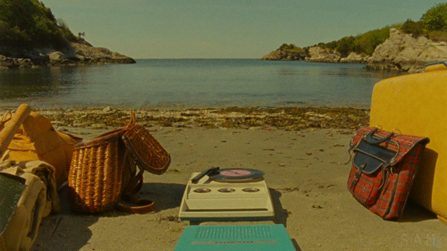 gif of record player and kitty on the beach